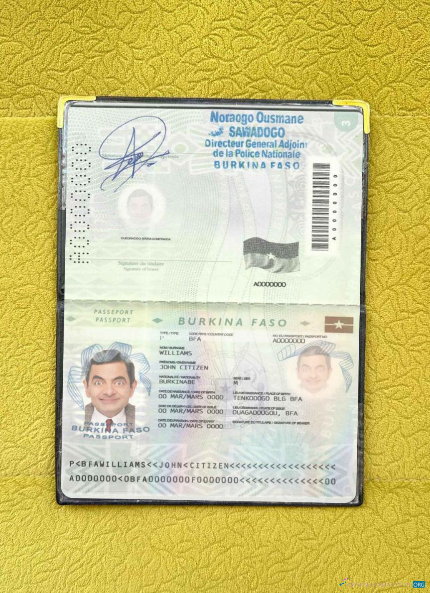 Download Burkina Faso pass (2008 2018) photo look Photoshop template